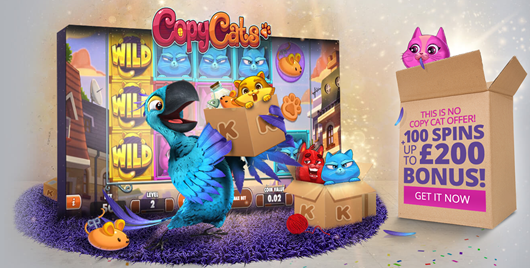 Copy Cats Karamba Juni 2017